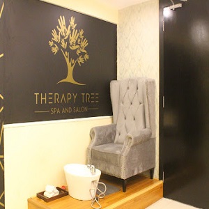 spa in electronic city Bangalore - threapy tree