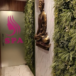 spa in nagawara Bangalore- peace spa